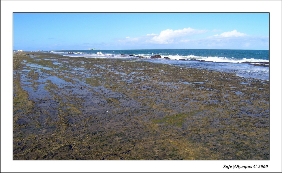 2005 - 11 - Porto de galinhas - alto muro 24.JPG
